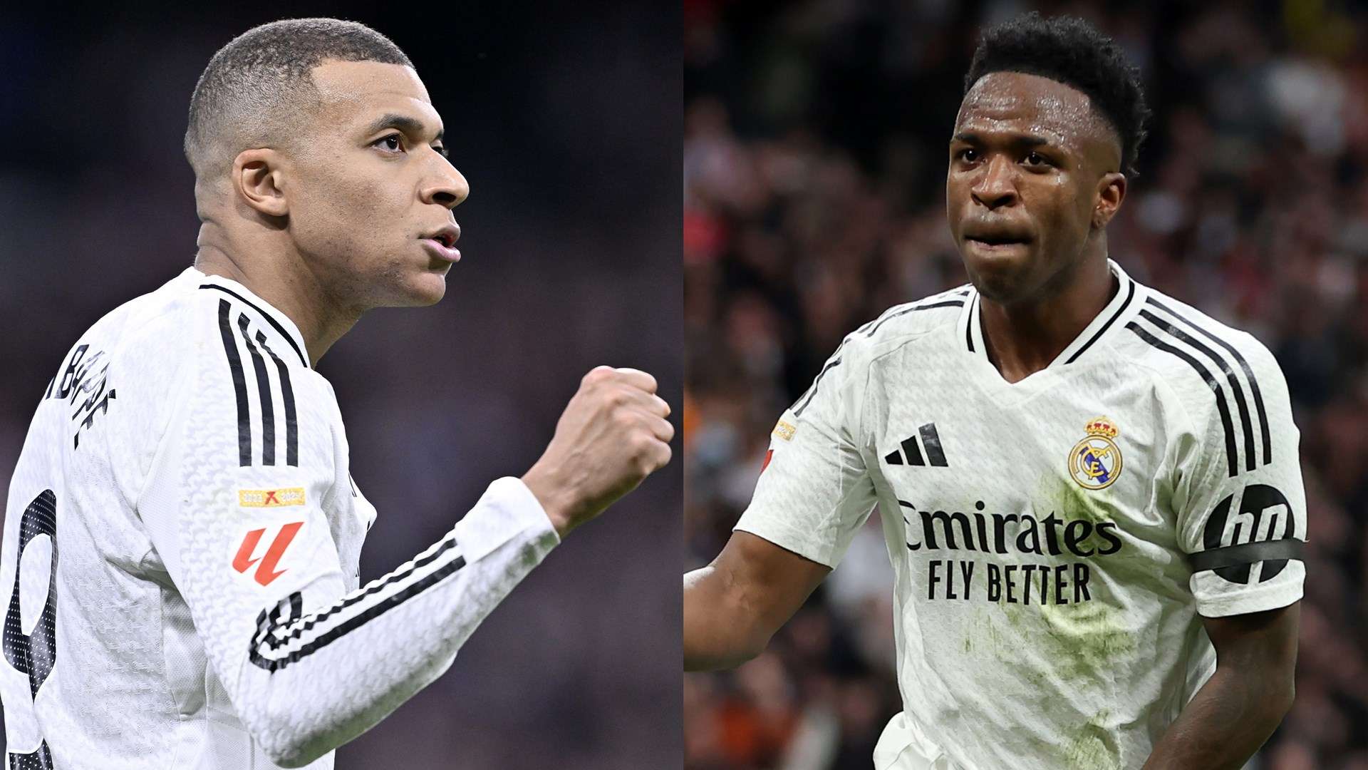 每个人的安 每个人的安