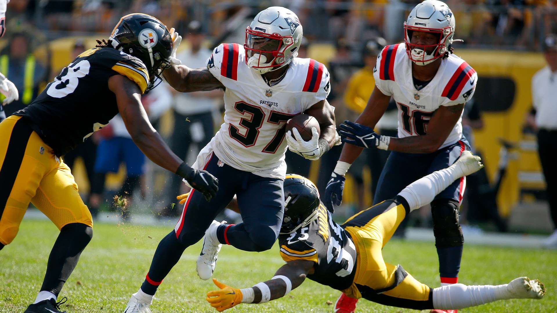 不清楚斯坦 不清楚斯坦